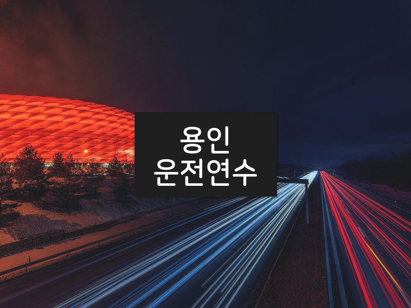 용인운전연수 후기