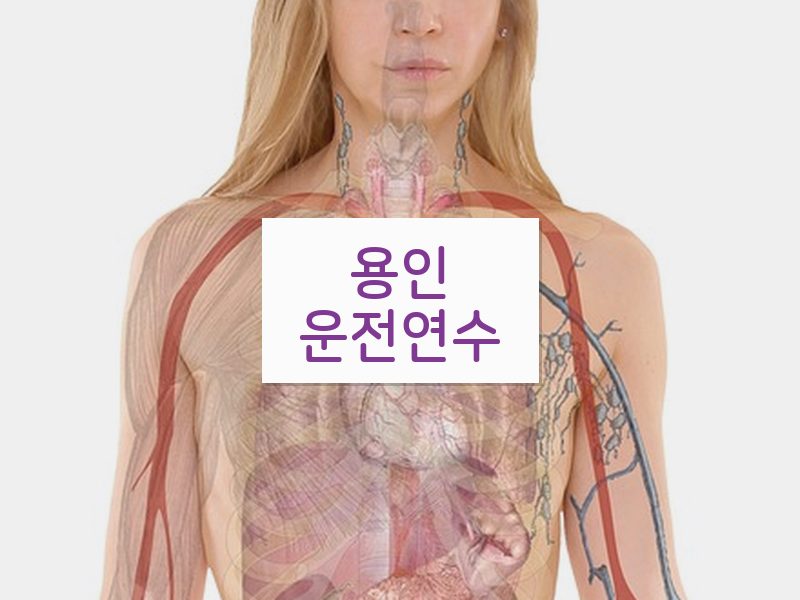 용인운전연수 후기