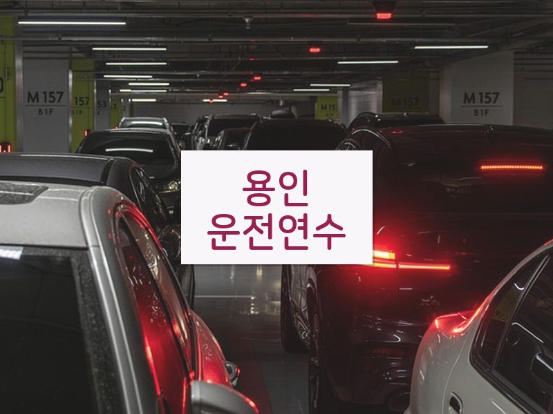 용인운전연수 후기