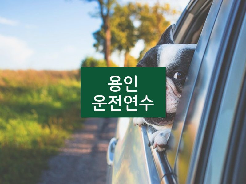 용인운전연수 후기