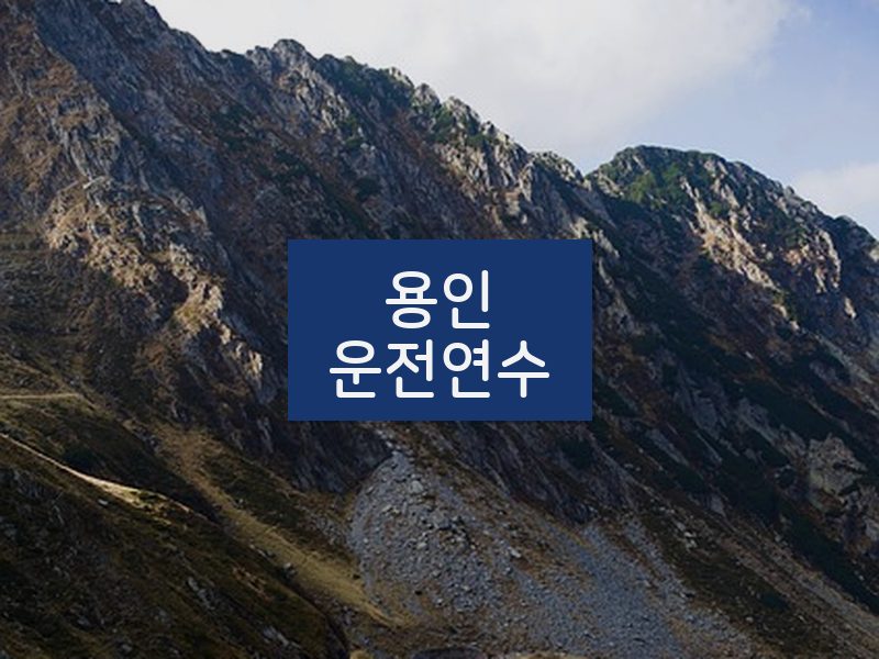 용인운전연수 후기