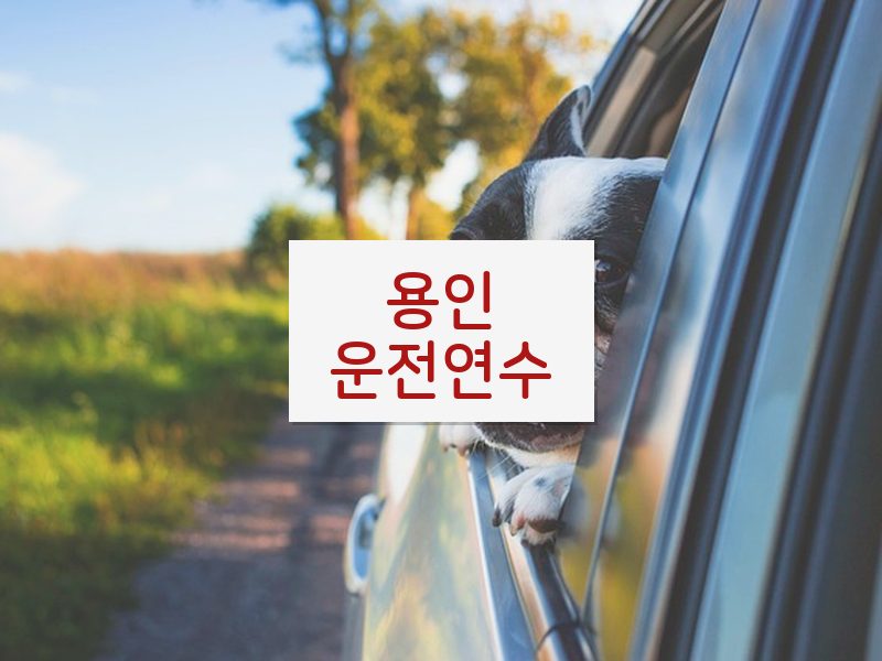 용인운전연수 후기