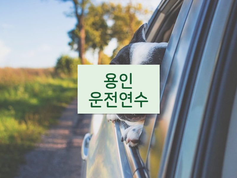 용인운전연수 후기