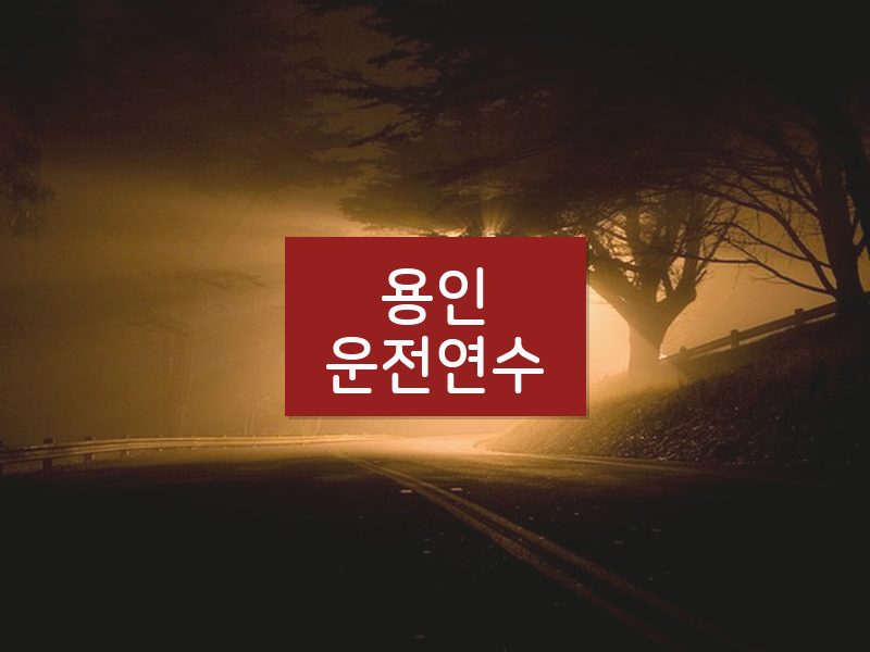 용인운전연수 후기