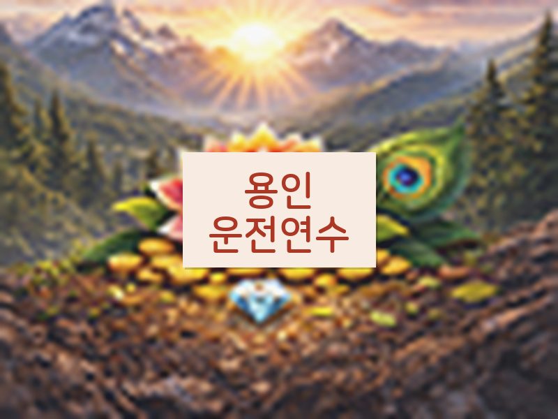 용인운전연수 후기