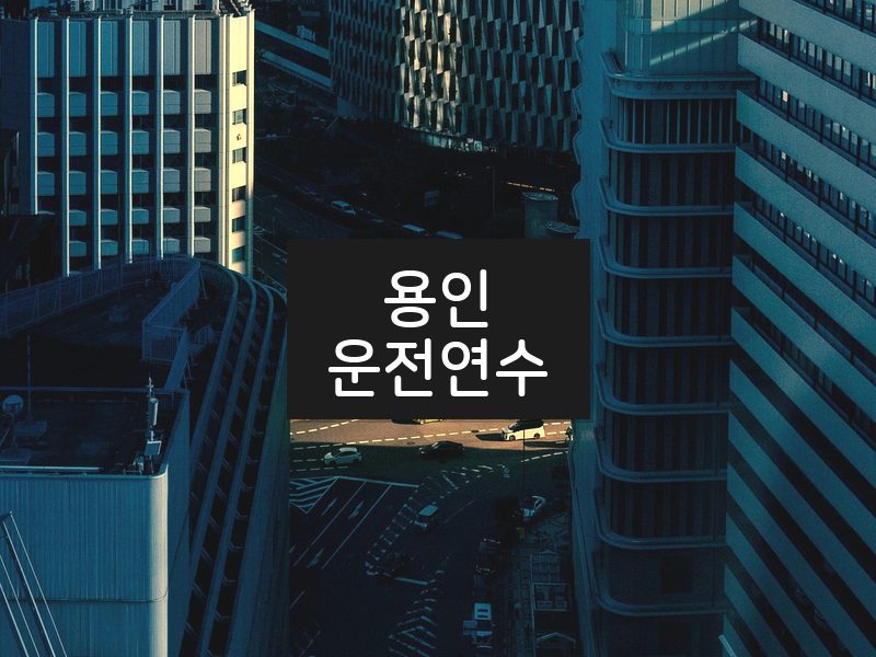 용인운전연수 후기