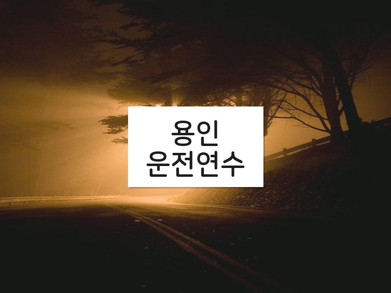 용인운전연수 후기