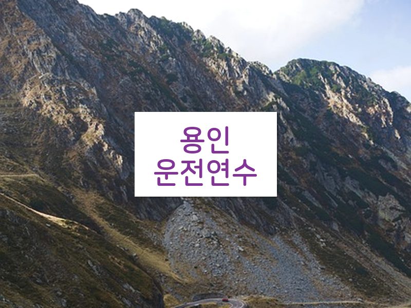 용인운전연수 후기