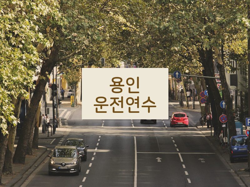 용인운전연수 후기
