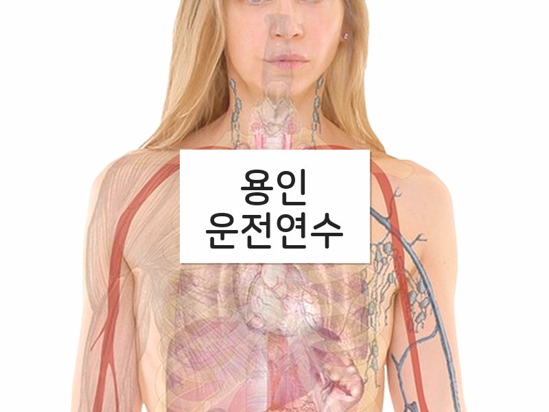 용인운전연수 후기