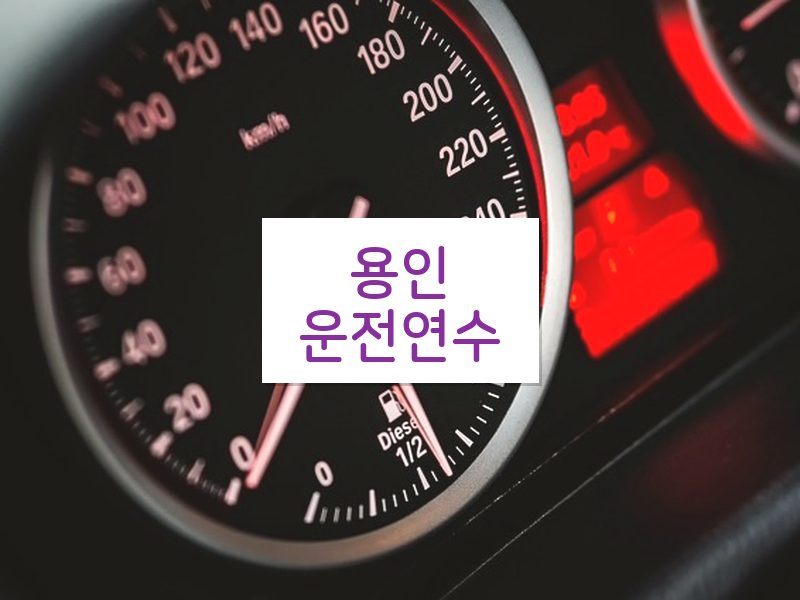 용인운전연수 후기
