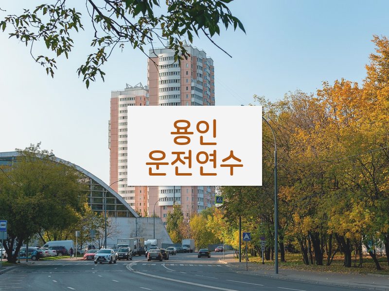 용인운전연수 후기