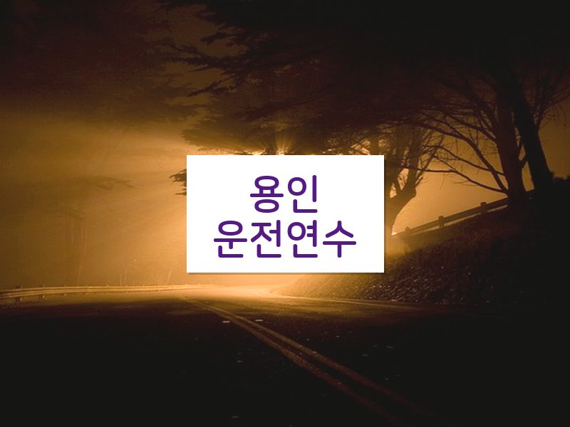 용인운전연수 후기