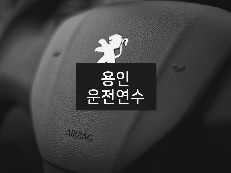 용인운전연수 후기