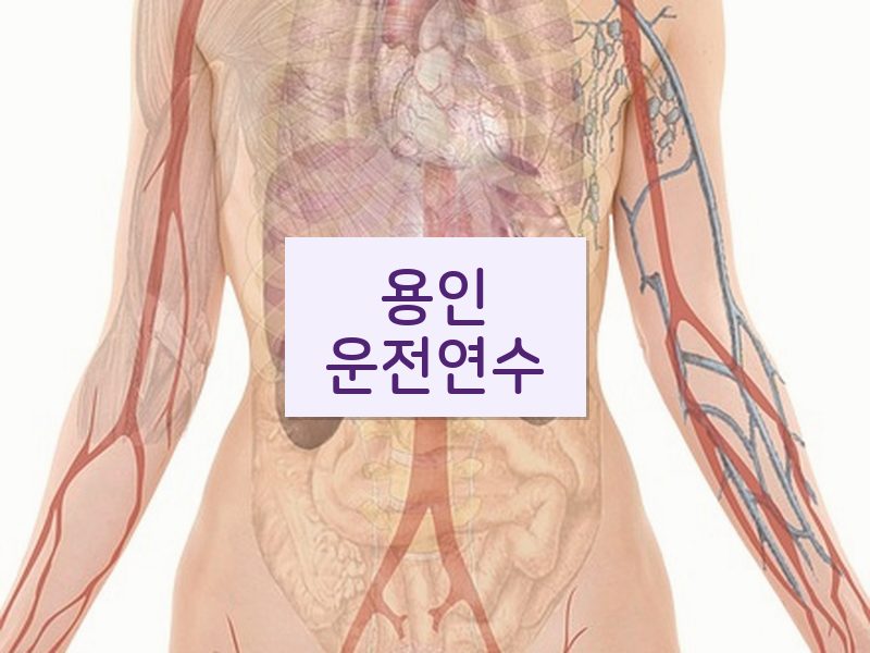 용인운전연수 후기