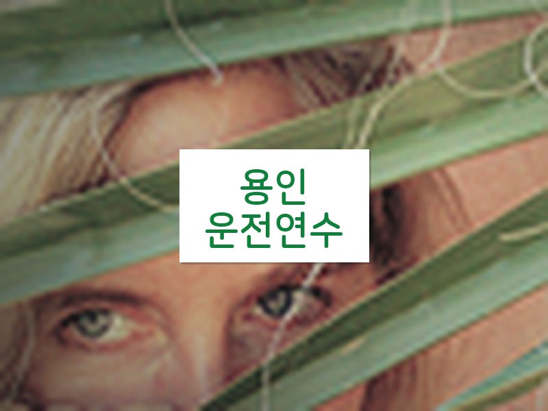 용인운전연수 후기