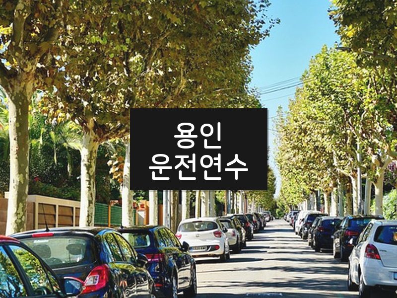 용인운전연수 후기