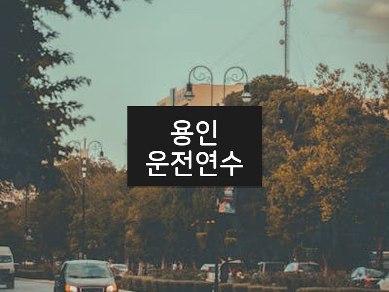용인운전연수 후기