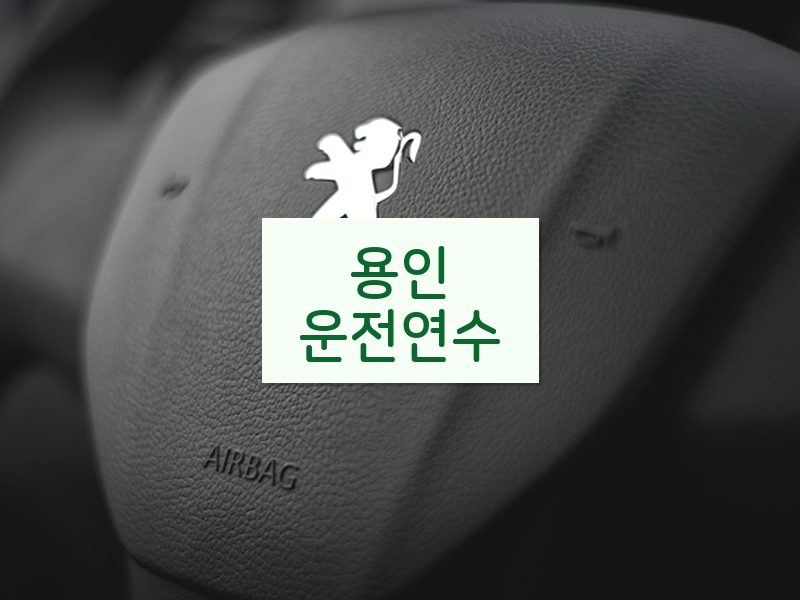 용인운전연수 후기