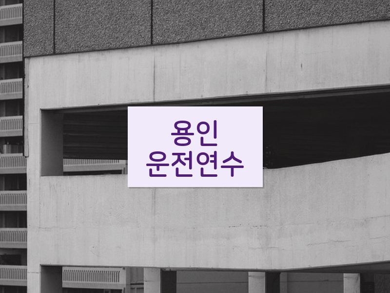 용인운전연수 후기