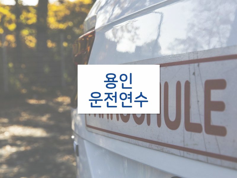 용인운전연수 후기