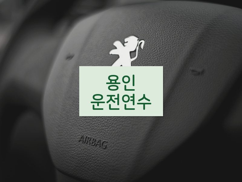 용인운전연수 후기