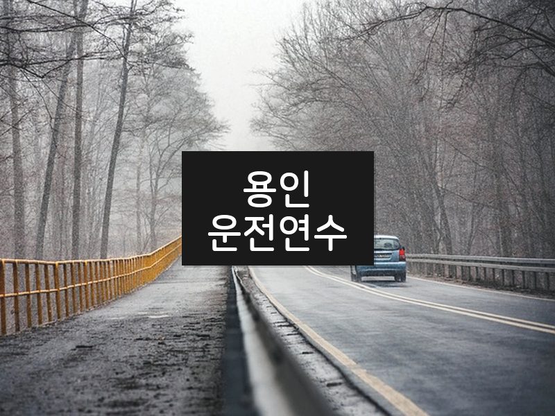 용인운전연수 후기