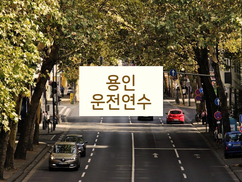 용인운전연수 후기
