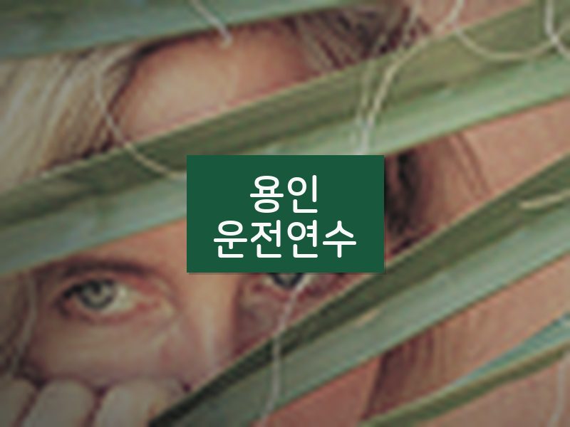 용인운전연수 후기