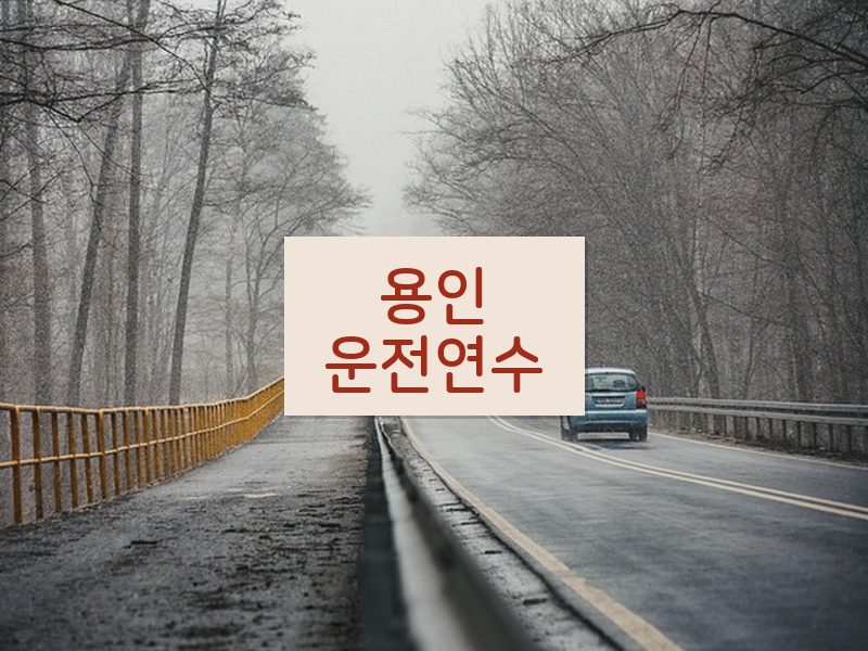 용인운전연수 후기