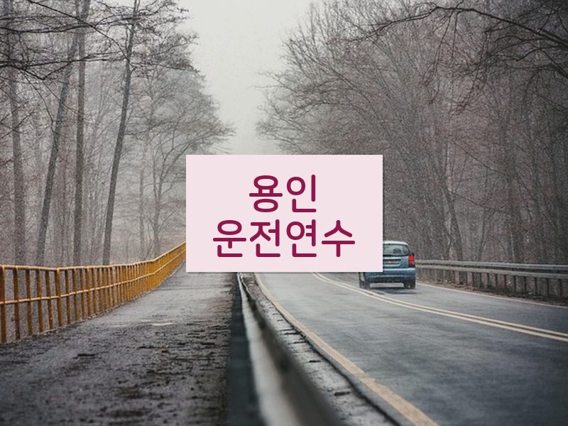 용인운전연수 후기