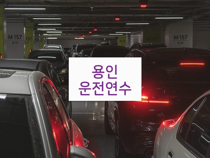 용인운전연수 후기