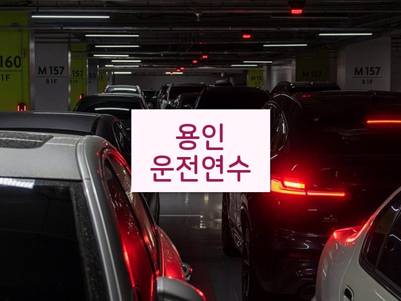 용인운전연수 후기