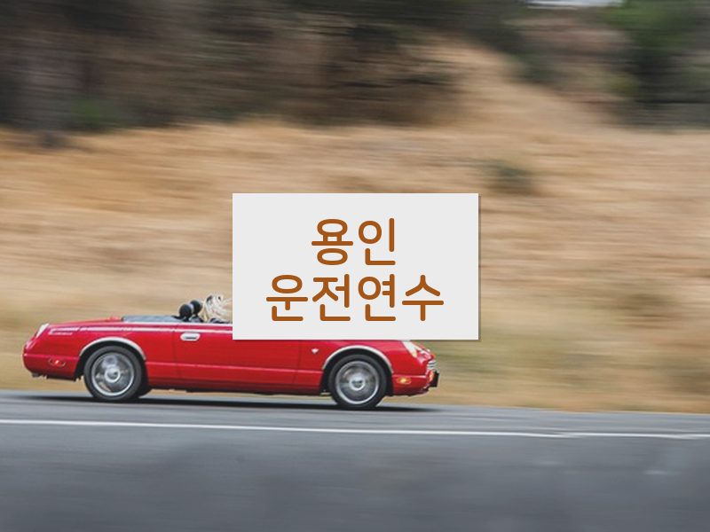 용인운전연수 후기