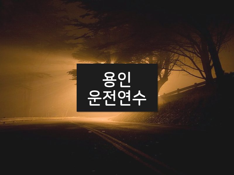 용인운전연수 후기