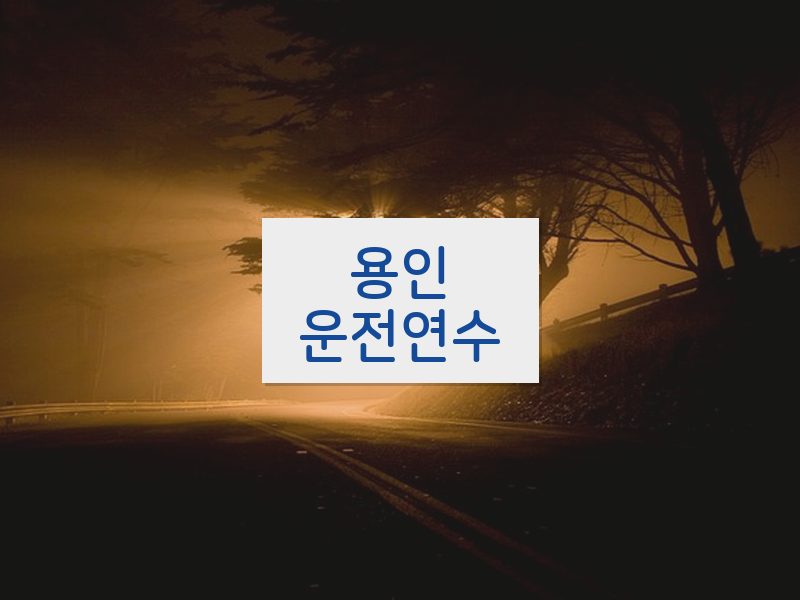용인운전연수 후기