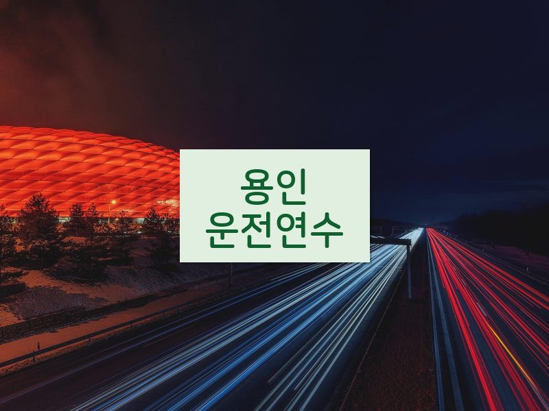 용인운전연수 후기