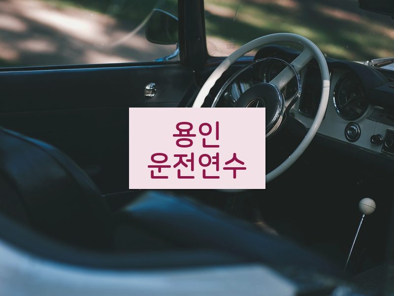 용인운전연수 후기