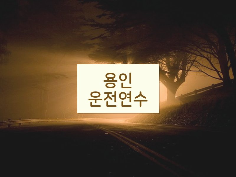 용인운전연수 후기