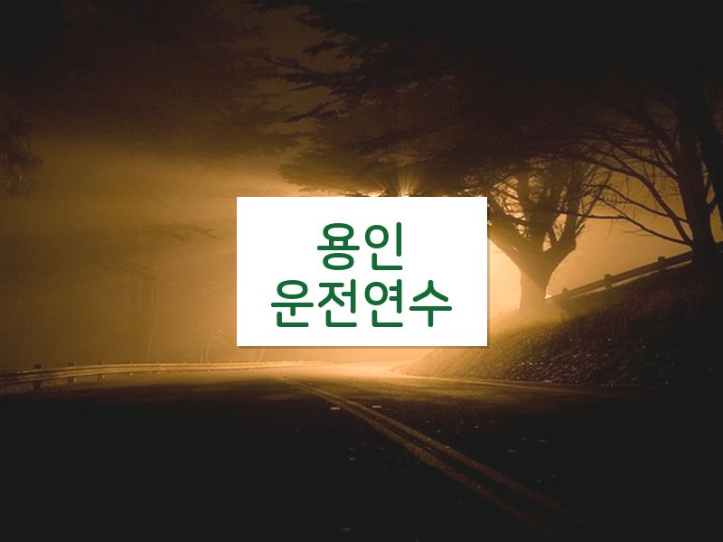 용인운전연수 후기