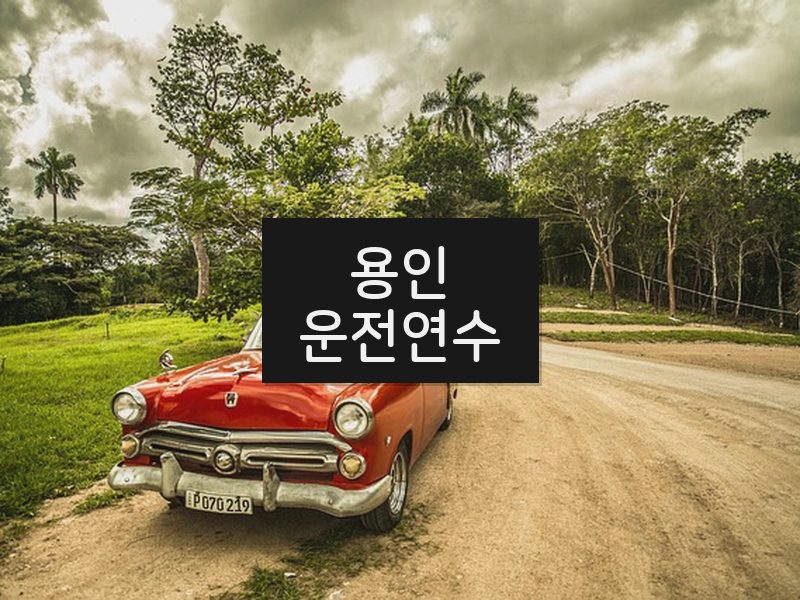 용인운전연수 후기