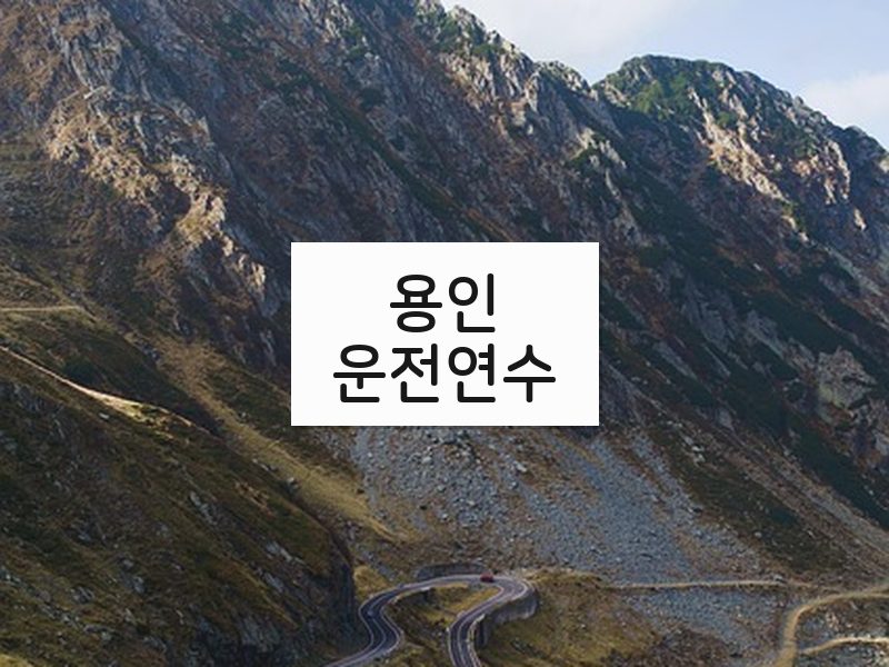 용인운전연수 후기