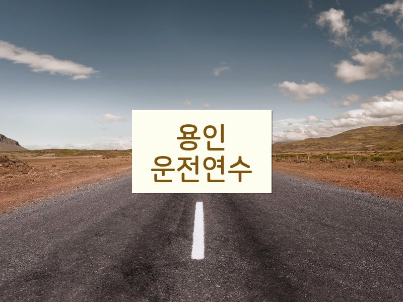 용인운전연수 후기