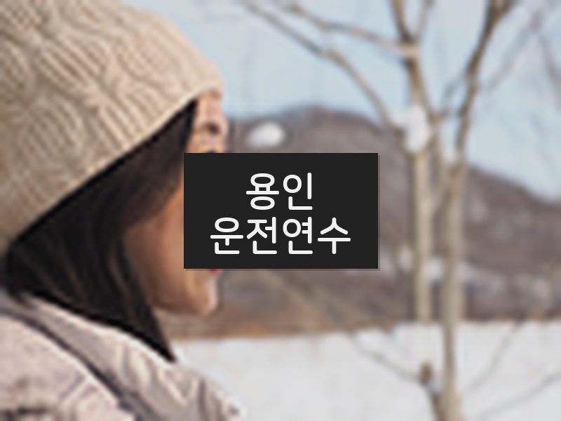 용인운전연수 후기