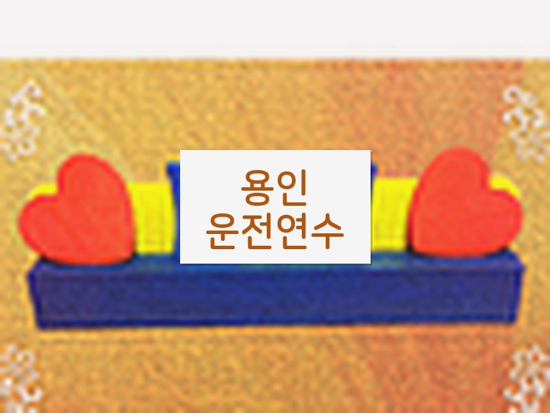 용인운전연수 후기