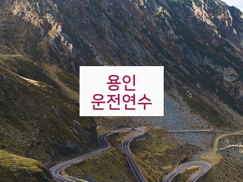 용인운전연수 후기