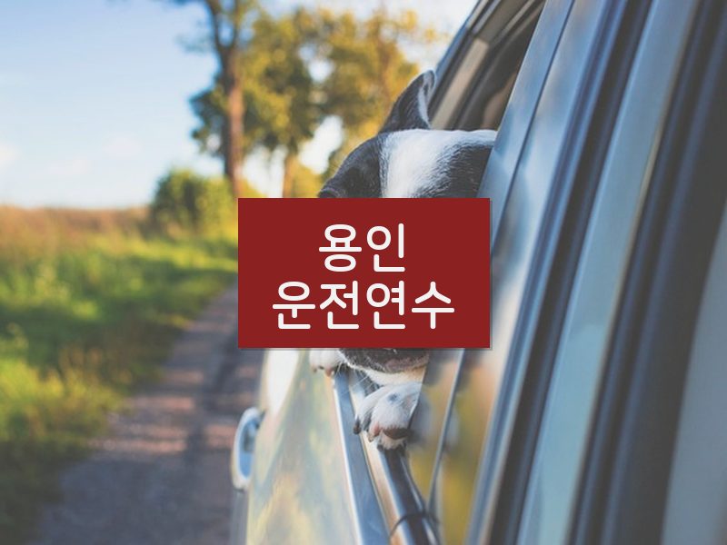 용인운전연수 후기