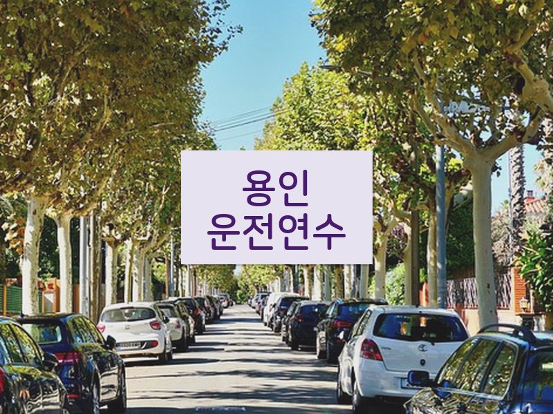 용인운전연수 후기