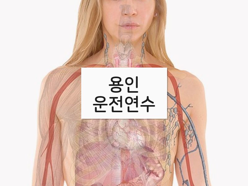 용인운전연수 후기