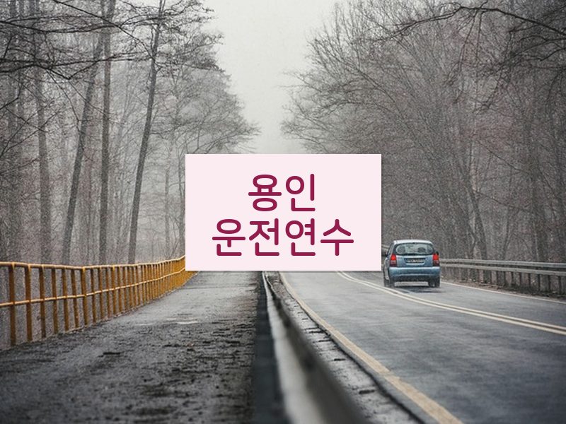 용인운전연수 후기